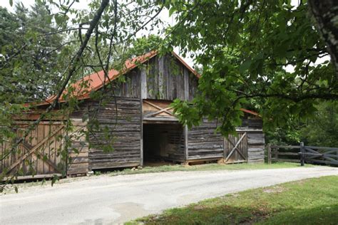 Horse Creek Gallery – Horse Creek Wildlife