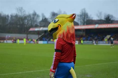 Aldershot Town FC stadium redevelopment: Six important questions that ...