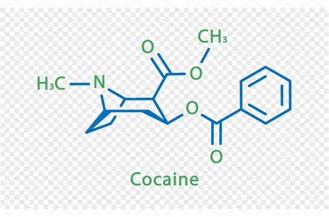 Cocaine chemical formula. Cocaine | Education Illustrations ~ Creative ...