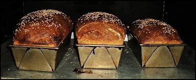 Whole Wheat Ezekiel Bread Recipe