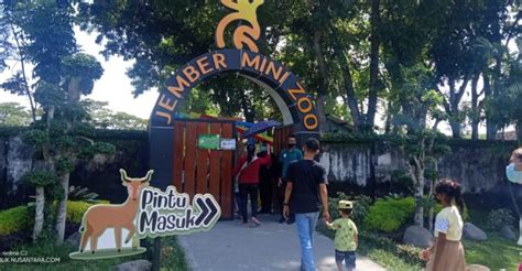 Jember Mini Zoo Buka Dengan Aturan Prokes Masa Pandemi, Wisata Edukasi Buat Anak. – VIRALKATA.COM