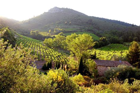 Discover France’s Best Kept Secret, the Languedoc Wine Region 🍷🇫🇷 ...