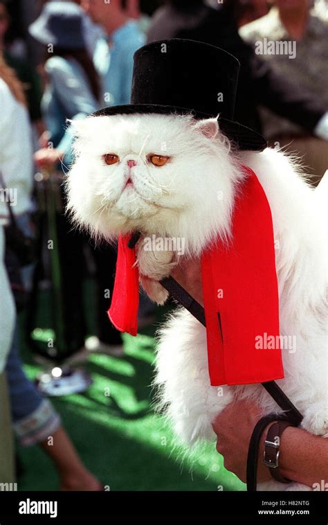 MR.TINKLES 'CATS & DOGS' FILM PREMIERE HOLLYWOOD LOS ANGELES USA 21 June 2001 Stock Photo - Alamy