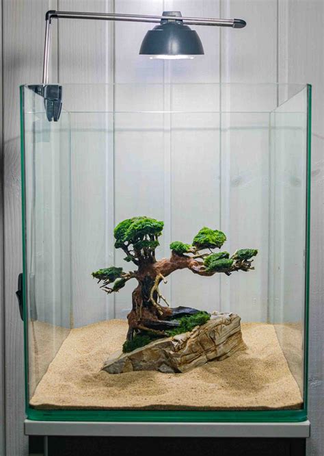 Aquascape Design Ref. A04 To Decorate Aquariums - Nympha Design