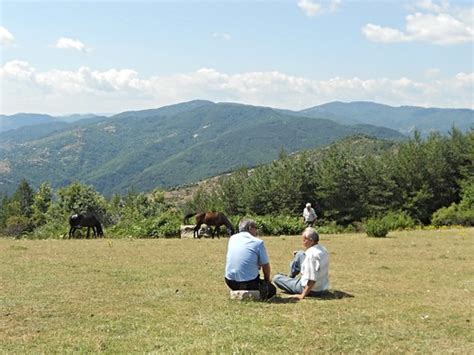 Rhodope mountains landscape, Yayla (Rusalsko), Bulgaria | Flickr