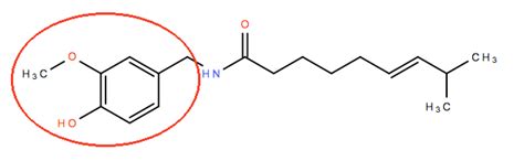 Molecular fragments, R-groups, and functional groups