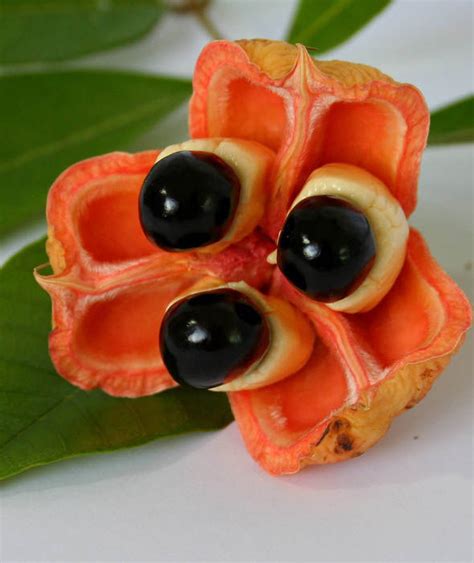 Ackee facts and health benefits