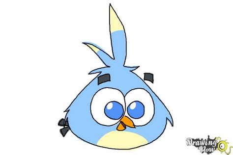 How to Draw Angry Bird Luca from Angry Birds Stella - DrawingNow