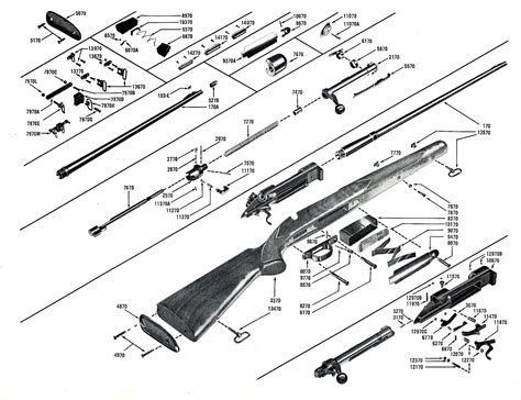 The Winchester Model 70, Pre-64 to Current Production - Revivaler