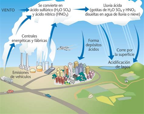 Murillo Gonzalez Leonardo Elias 245 PFLC: Que es la lluvia ácida, como ...