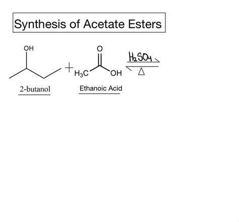 Solved What are the products formed in this equation | Chegg.com