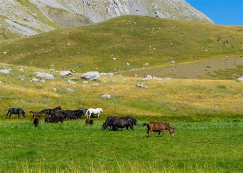 Jeep safari in the Pindus Mountains | Audley Travel