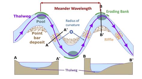 Why Do Streams Meander? | Ausable Freshwater Center