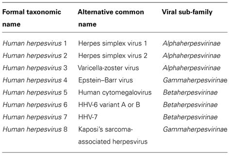 Frontiers | Autophagy and immunity – insights from human herpesviruses