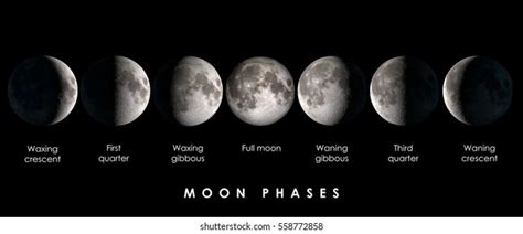 415 Third Quarter Moon Images, Stock Photos, 3D objects, & Vectors ...