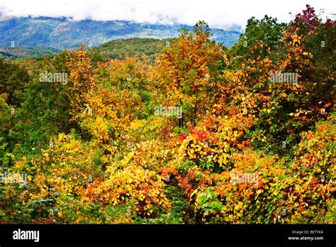 Brushy mountain range hi-res stock photography and images - Alamy