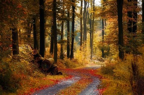 November Nature Wallpapers - Top Free November Nature Backgrounds - WallpaperAccess