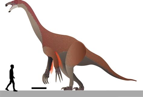 Therizinosaurus Size Chart by Paleotuga on DeviantArt