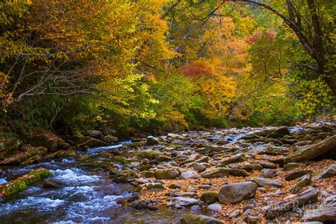 Fall Colors 2018 Nc Mountains Fall, Blue Ridge Mountains, Great Smoky Mountains, Family Hiking ...