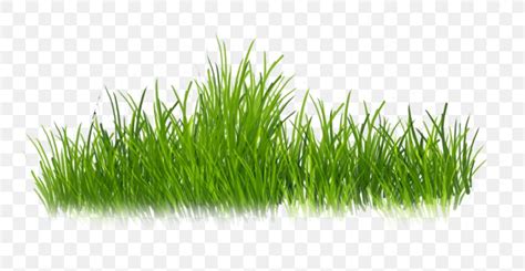 Clip Art Psd Adobe Photoshop, PNG, 800x424px, Tiff, Commodity, Grass ...