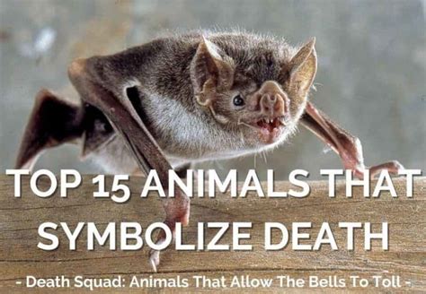 Top 15 Animals That Symbolize Death - Read And Do Fear The Reaper!