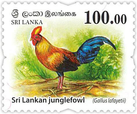 Buy Sri Lankan Stamps (Philatelic) Wild Animals of Sri lanka (3/3 ...