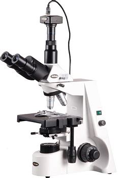 AmScope B120C Microscope Review - Microscope Crew