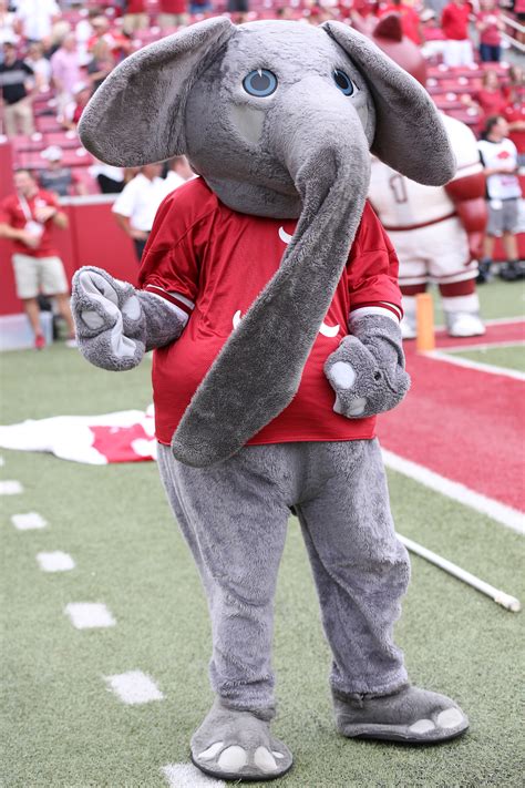 National Mascot Day: Ranking the SEC mascots from worst to best