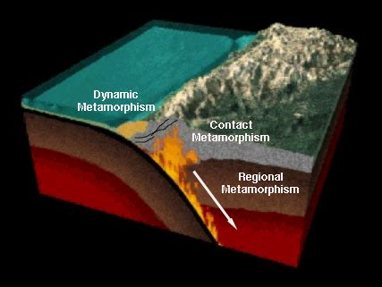 Metamorphic