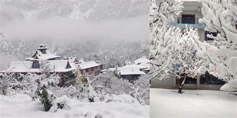 First Spell of Snow in Shimla, Himachal Reels under Cold Wave ...