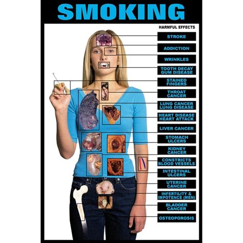 Educational Harmful Effects Of Smoking Chart | Health Edco