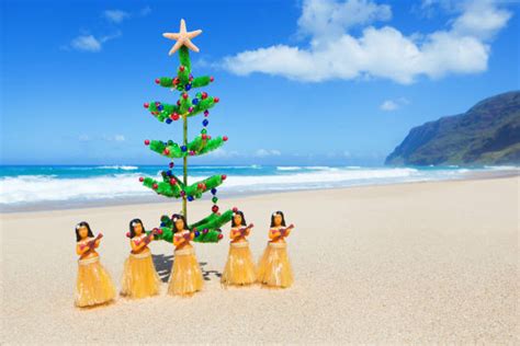 Hawaiian Christmas Stock Photos, Pictures & Royalty-Free Images - iStock