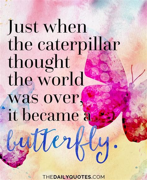 Caterpillar To Butterfly Quote - ShortQuotes.cc