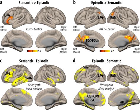 Knowing how the brain retrieves facts may help people with memory disorders