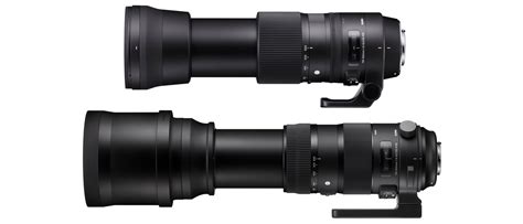 Sigma 150-600 Contemporary vs Sports: let us explain the differences | Digital Camera World