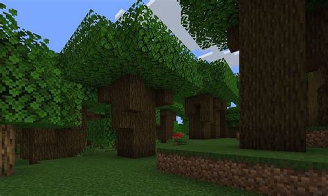 Dark Forest in Minecraft