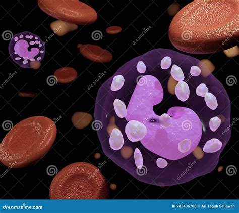 White Blood Cell Along With Red Blood Cells In The Capillary Stock Photo | CartoonDealer.com ...