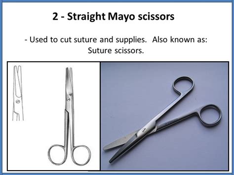 Straight Scissors Uses | atelier-yuwa.ciao.jp