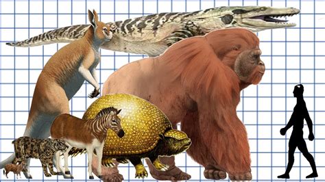 Cenozoic Beasts Animated Size Comparison Youtube – Otosection