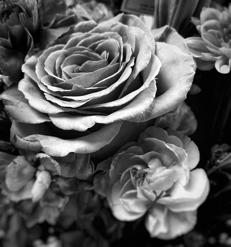 A few flowers left over from a funeral shot in black and white #funeralflowers Water Photography ...