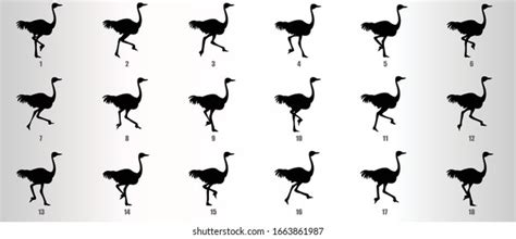 521 Ostrich Running Silhouette Images, Stock Photos & Vectors | Shutterstock