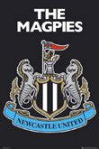 Newcastle United FC Posters – Sports Poster Warehouse