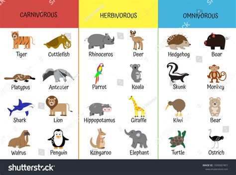 Omnivores Herbivores Carnivores Chart