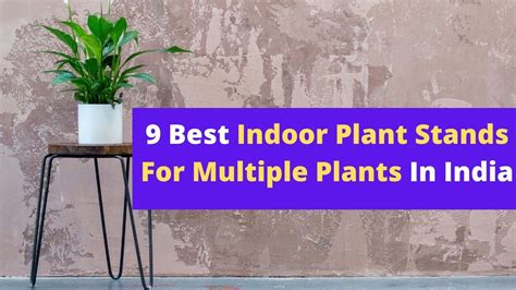 9 Best Indoor Plant Stands For Multiple Plants In India - Garden Troubles
