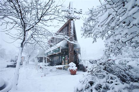 PHOTOS: Scenes from today’s snowstorm in Alexandria | ALXnow