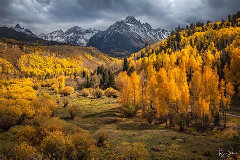 Golden Meadows | Telluride, Colorado