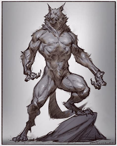 Werewolf Poses Drawing - Drawing.rjuuc.edu.np