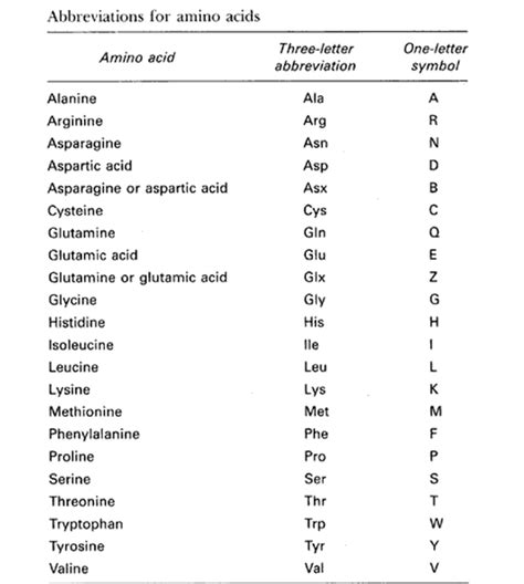 Amino Acid Codon Abbreviation Table | Cabinets Matttroy