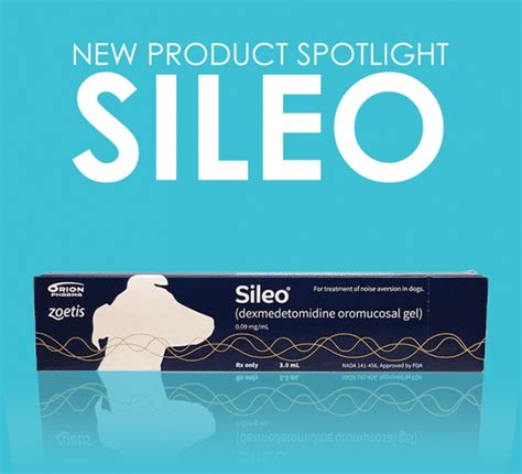 New Product Spotlight: SILEO – an effective and sound way to help dogs ...