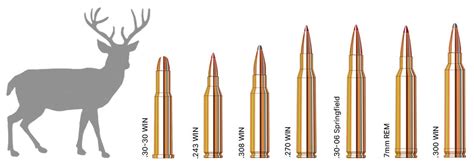 Hunting Caliber Chart | Sportsman's Warehouse